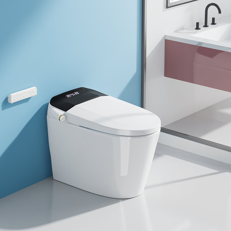 Умный электронный унитаз с авт – обзор и цена Home For Bathroom
