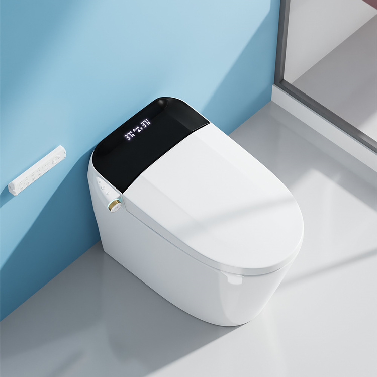 Умный электронный унитаз с авт – обзор и цена Home For Bathroom