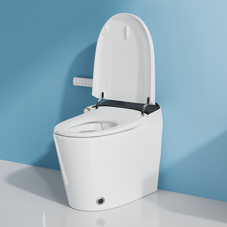 Умный электронный унитаз с авт – обзор и цена Home For Bathroom