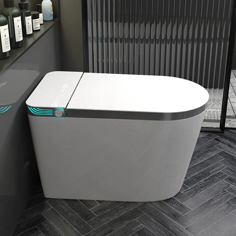 Умный унитаз-моноблок с электр – обзор и цена Home Bathroom Ware