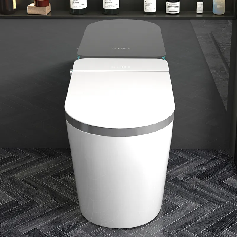 Умный унитаз-моноблок с электр – обзор и цена Home Bathroom Ware