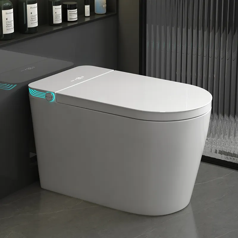 Умный унитаз-моноблок с электр – обзор и цена Home Bathroom Ware