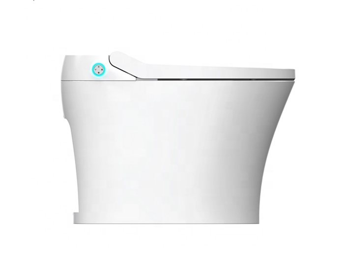 Умная крышка-биде с электропри – обзор и цена Home Bathroom Ware