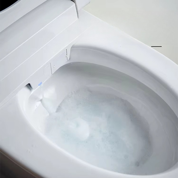 Высококачественный удлиненный  – обзор и цена Home Bathroom Ware